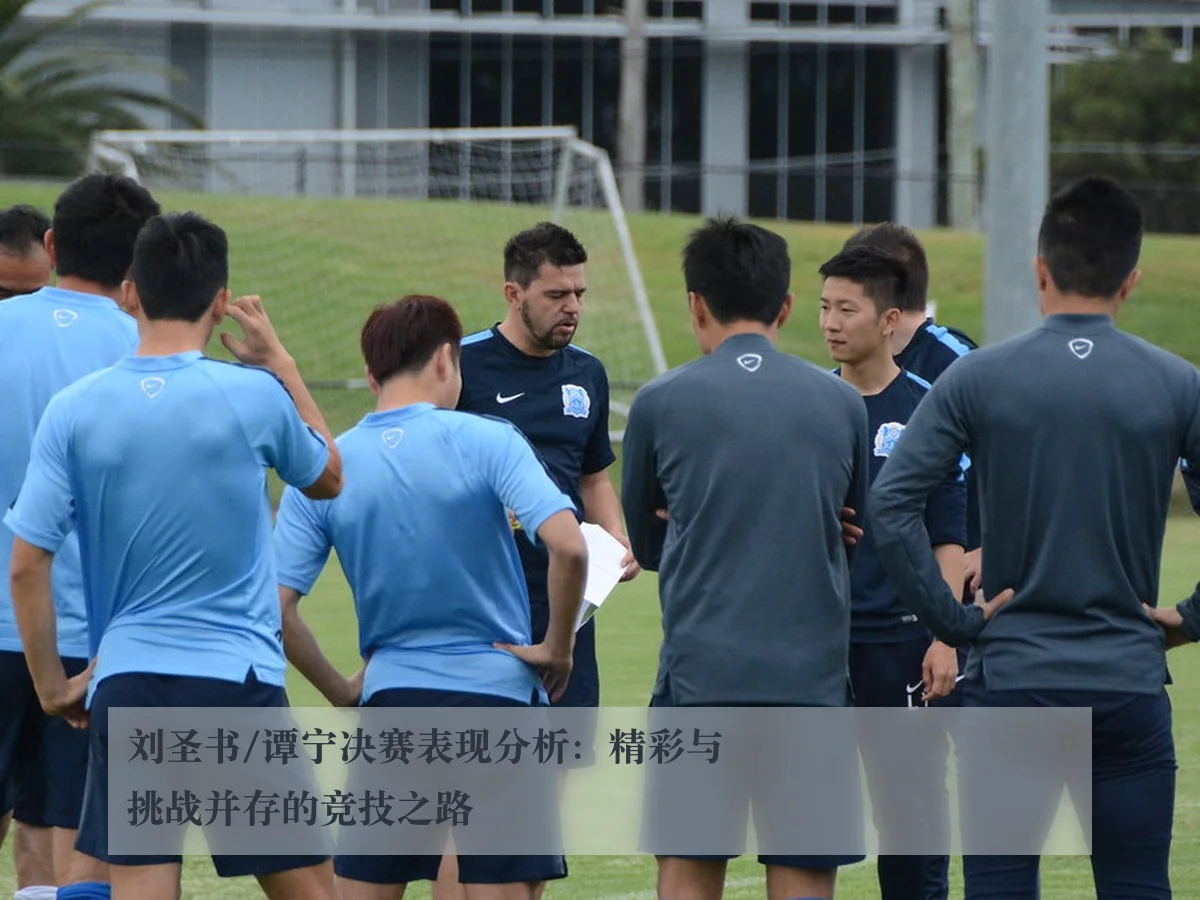 刘圣书/谭宁决赛表现分析：精彩与挑战并存的竞技之路